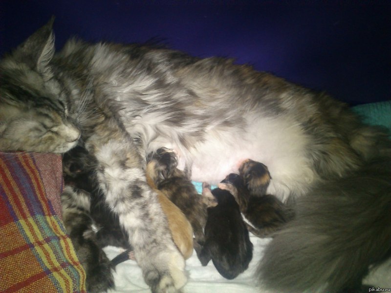 � � ��� ������� ����� ������ ����� �����!