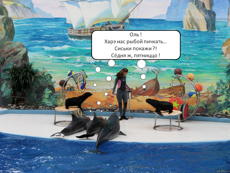 � ������ ...