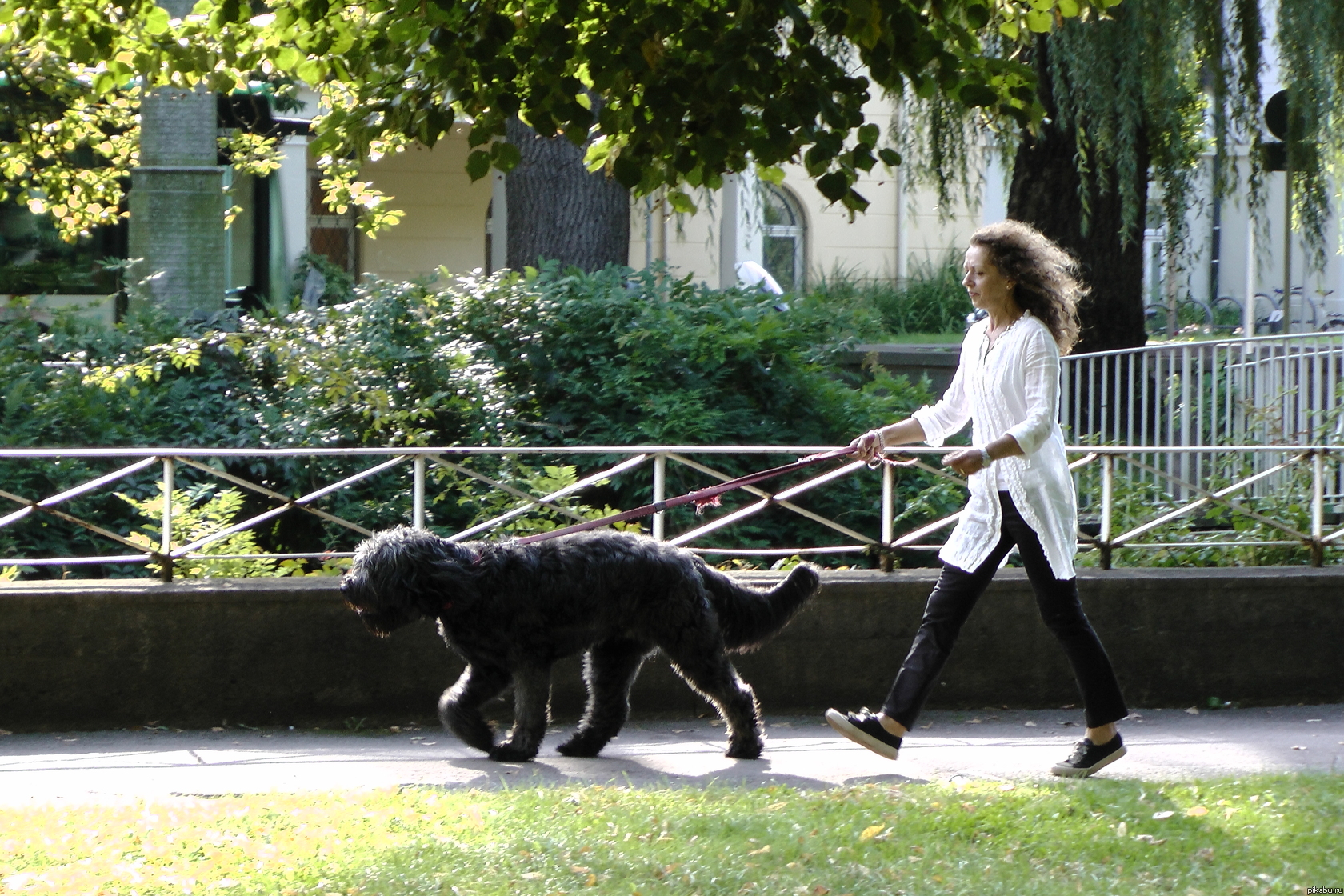 �������� ������� � ��������