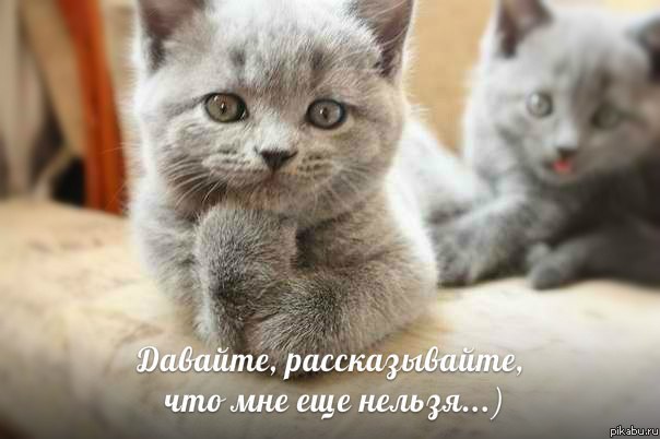 я внимательно слушаю!