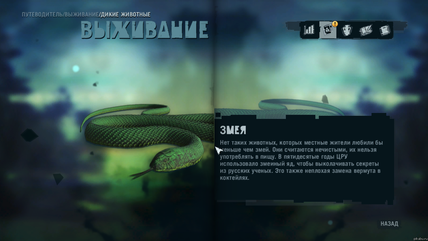 Far cry 3 ����� ��� ������