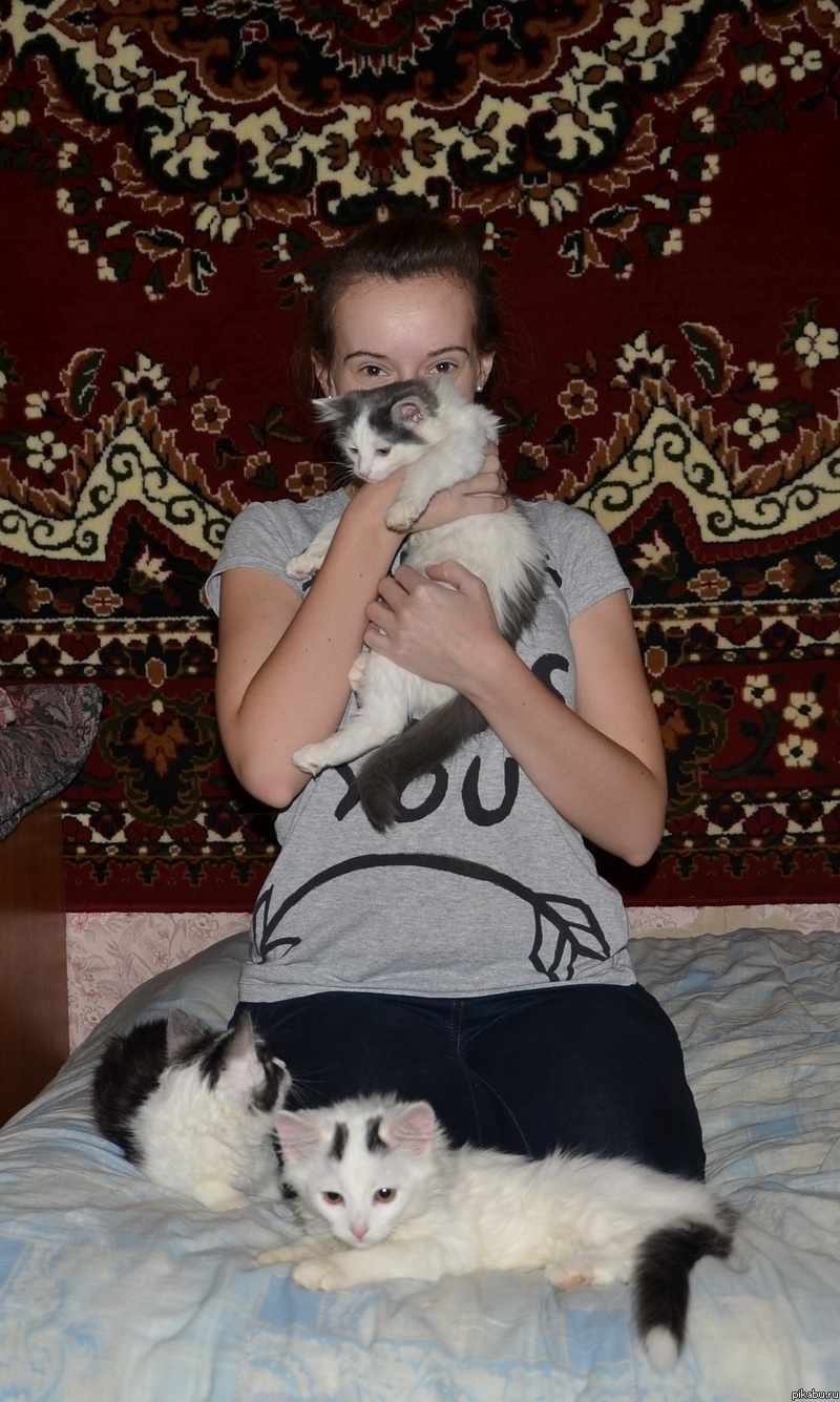 Котики