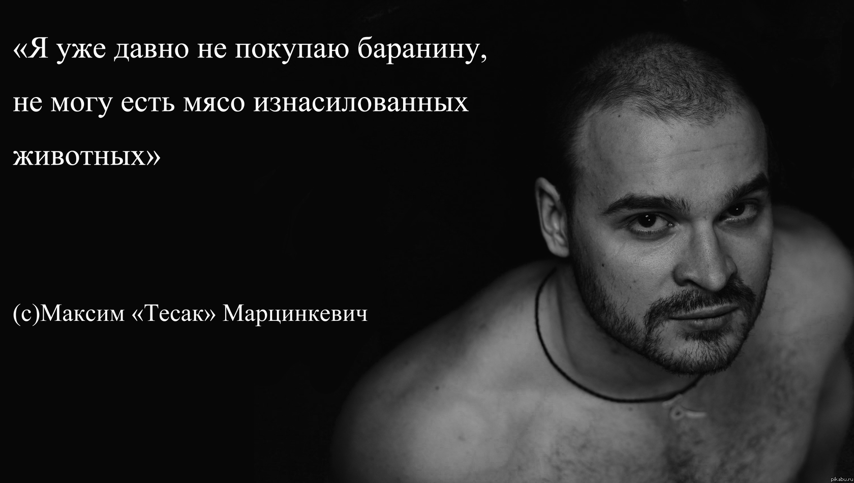 Цитата