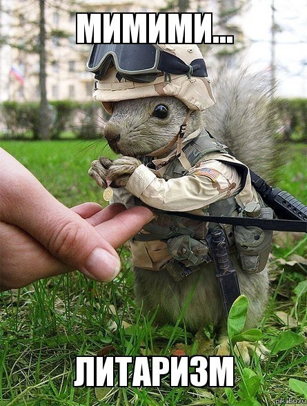 С просторов бескрайнего...