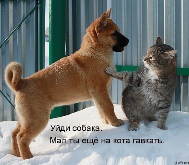�����������! )))