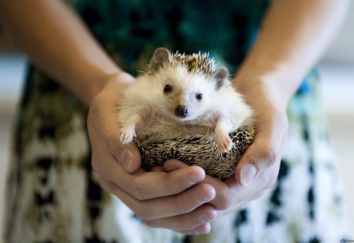 Мой мир никогда не будет прежним