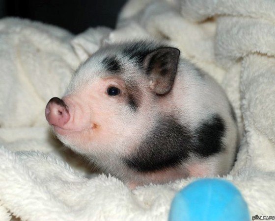 ����� ���������� ������ ^_^    ���� �����!