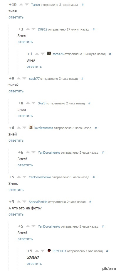 Змея. Комментарии.