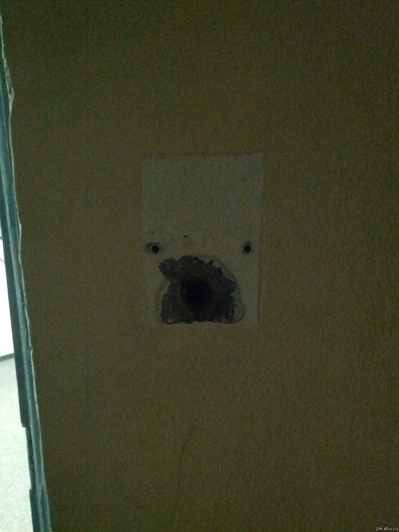 "Есть что пожрать?"