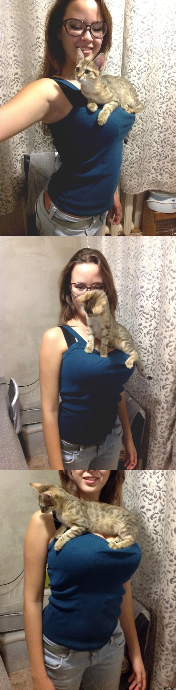 Кот на сиськах