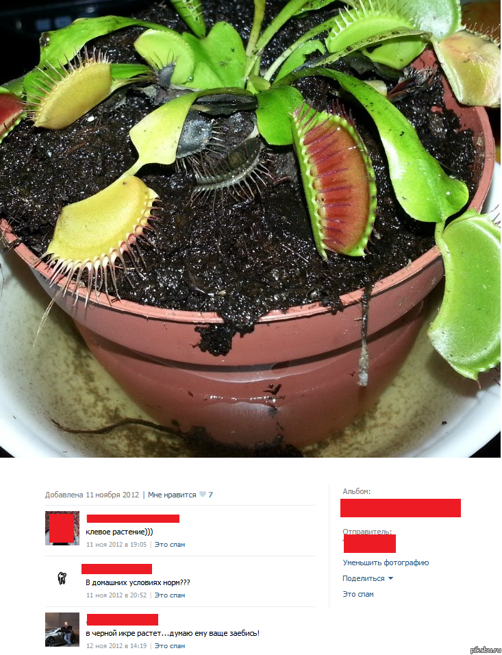 ������� ��������