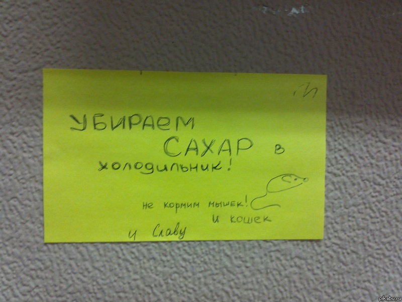 Не кормите Славу))