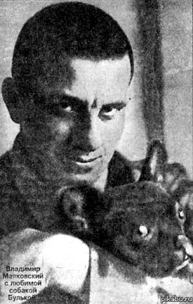 Маяковский - няшка