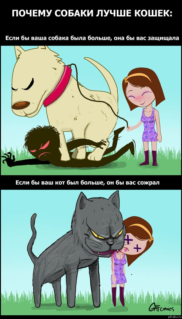 ������ vs ����