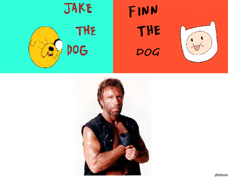 ����� �����������. ������ ����.