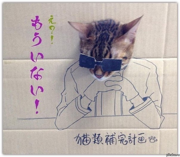 коТсплей (продолжение к посту http://pikabu.ru/story/kotspley_838151)