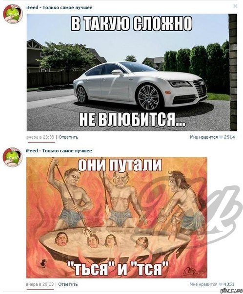 ������������ � ��������