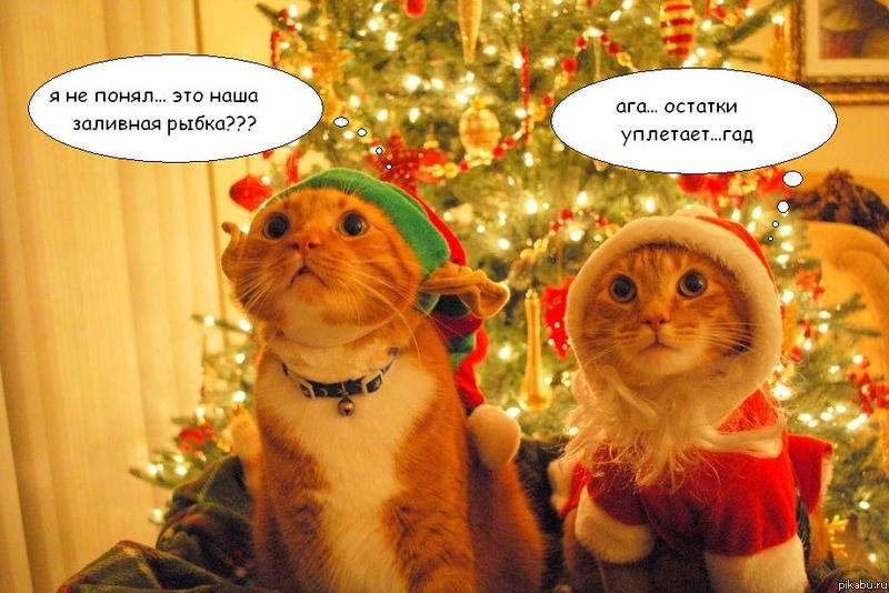 �� ��������� ����� �������=)