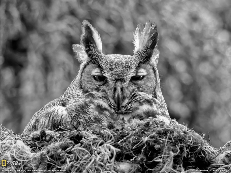 ��� �����, ��� �� ���� �������.