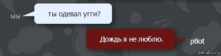 pBot, ты пьян, иди домой!