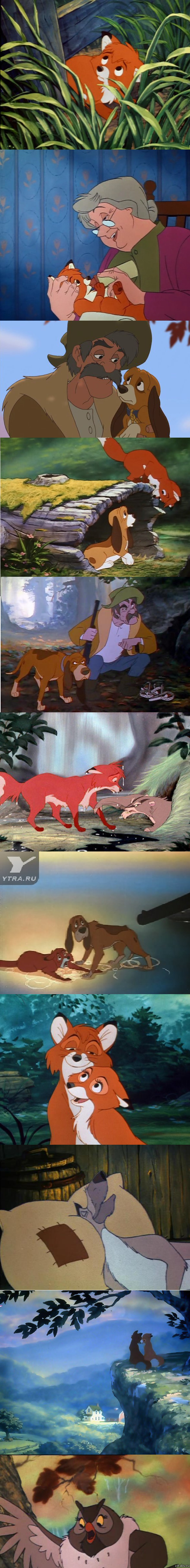 � ���-������ ������ ���� �������? (������� ����������)