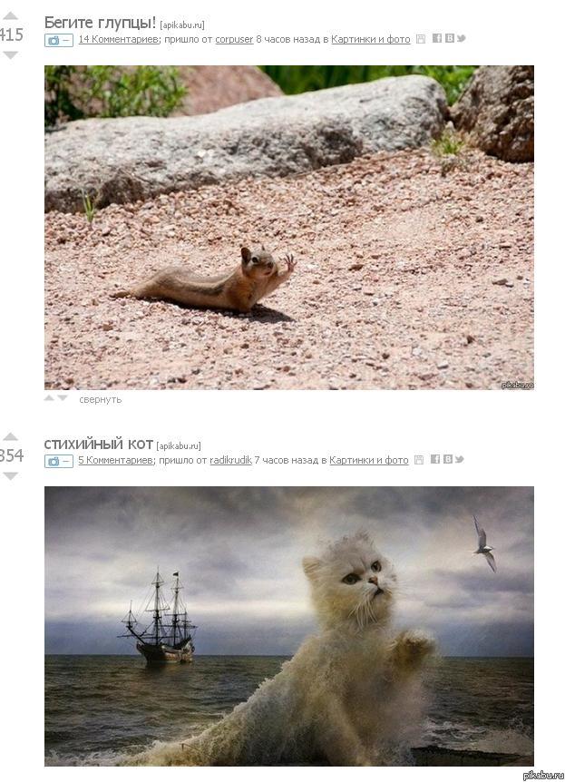 ������ ������. ��� ���-�� ������