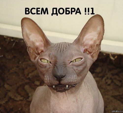 ���� �����!!1