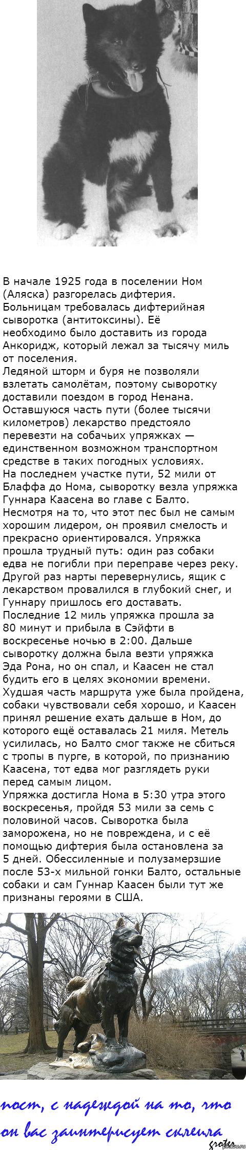-()
