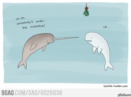 � ��������� ����.