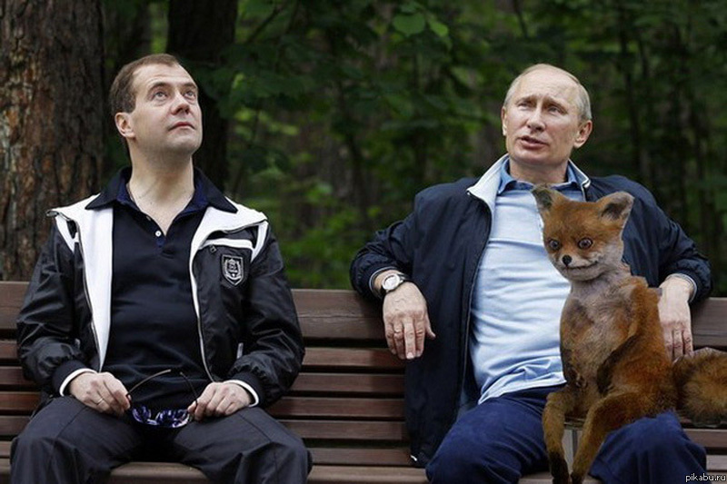 Вся "лиса" по одной ссылке...