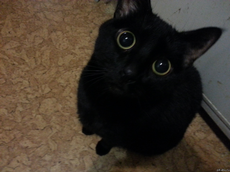 �������� ������!