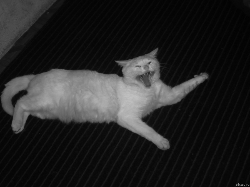 ��� ������� ��� ������. ������� ��� 11 ��� ��� �� ����� � ����!)