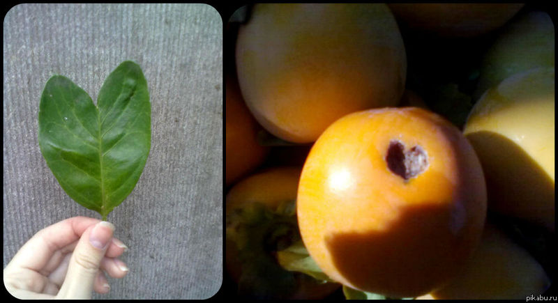 ������� ��� �����^^