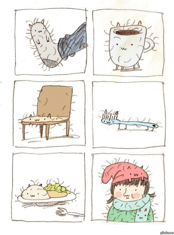 Когда у вас есть кот, всё становится котом