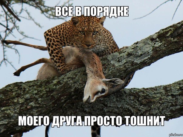 ��� � �������