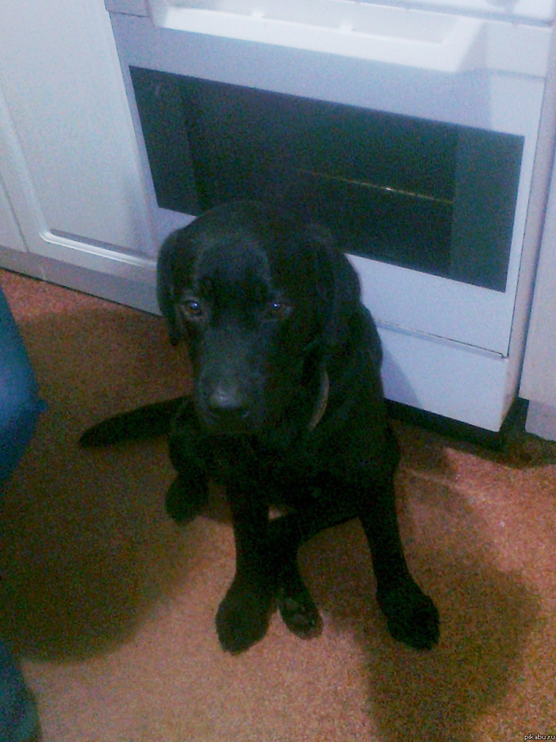  .   .      .׸       !