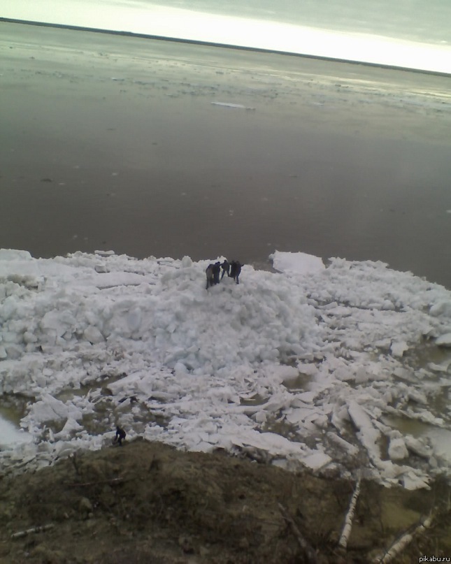 2009 год) наш первый, последний звонок))