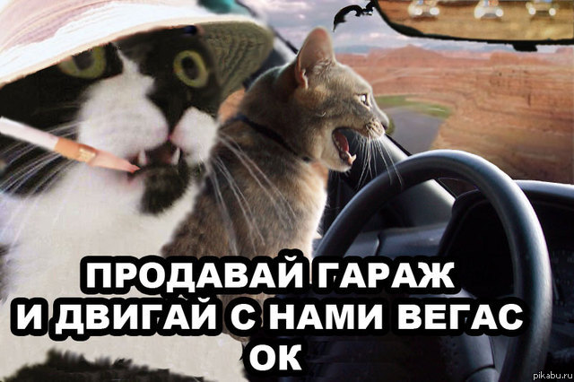 � �����!