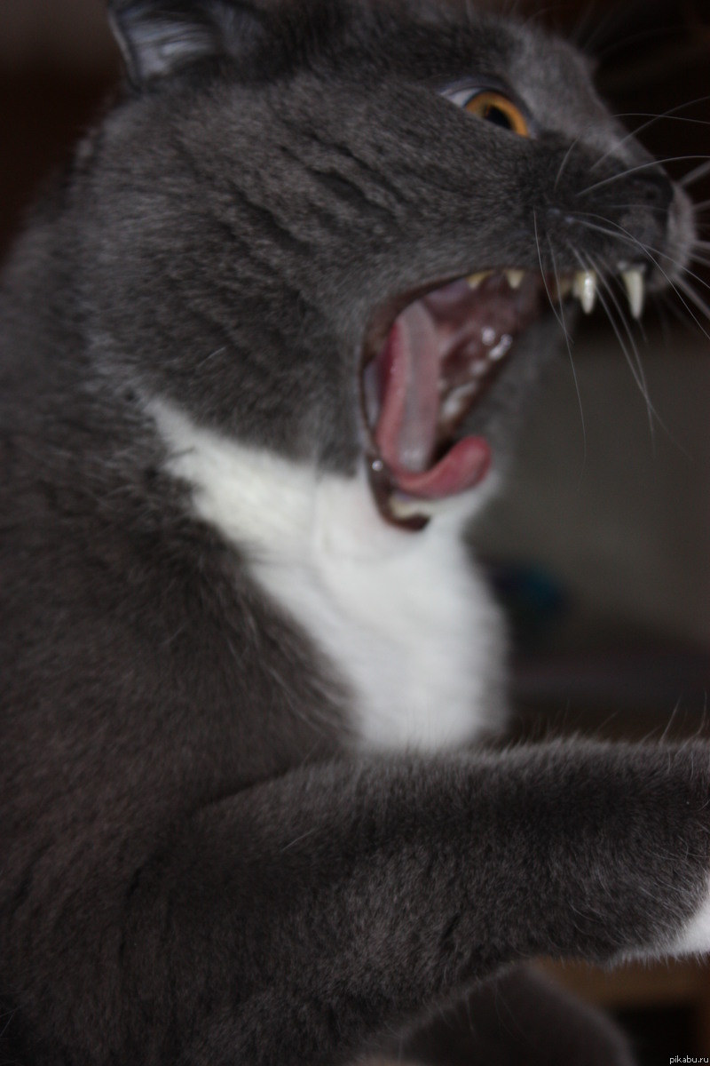 ������ ��� ������� ����� ��� ����� ��������...