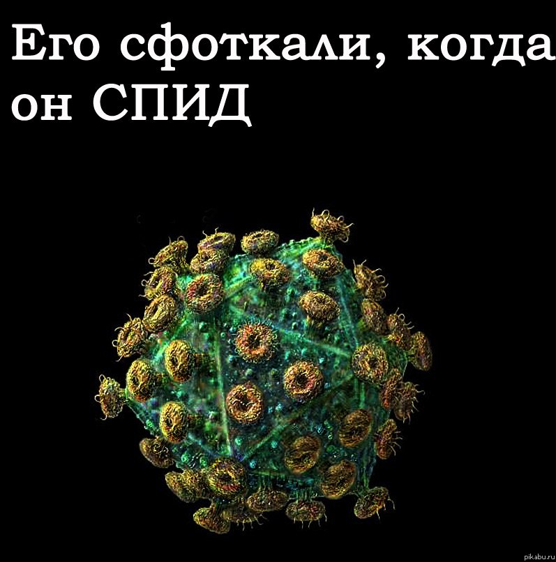 Его сфоткали, когда он ...