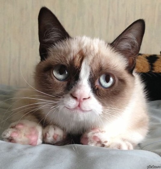 ���-�� ����� �� ���...