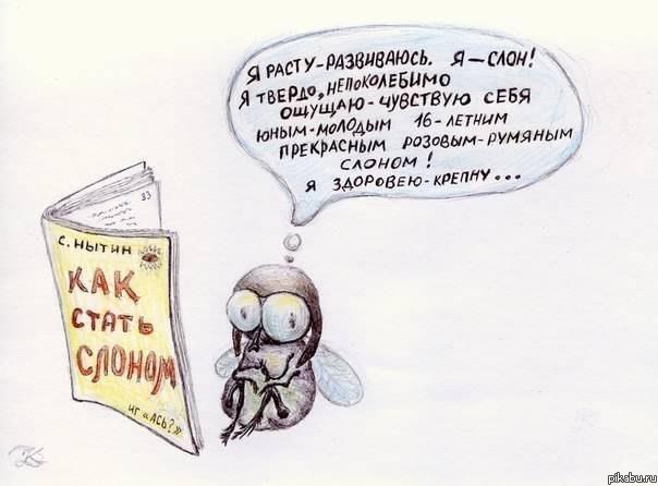 Как стать слоном