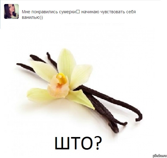 Ваниль