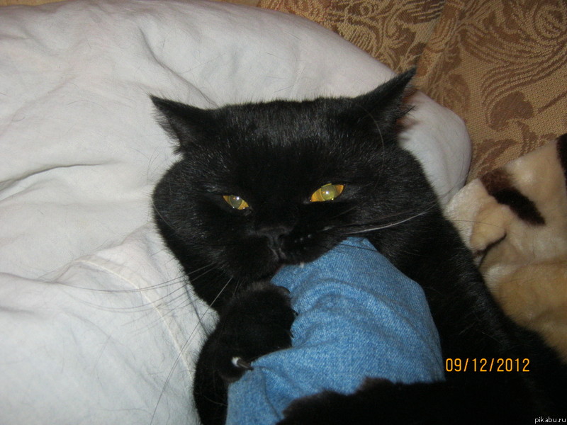 моя прелесть!!!