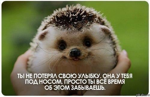 Просто улыбнуло:-)