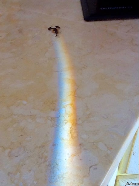 nyan-��������