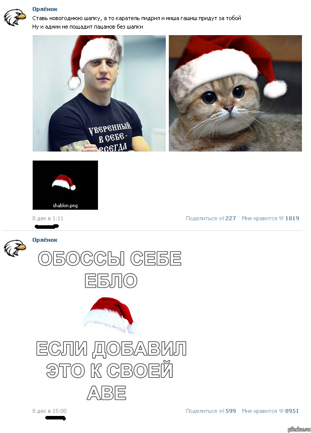 Вся суть \"Орленка\"