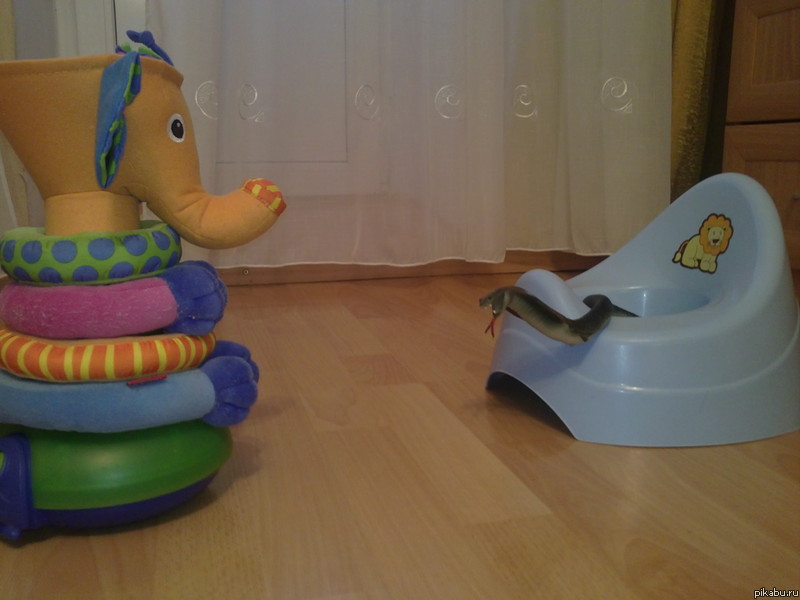 поход в цирк.
