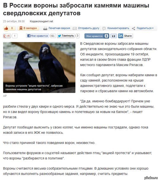 Вороны, разбирающиеся в политике=)