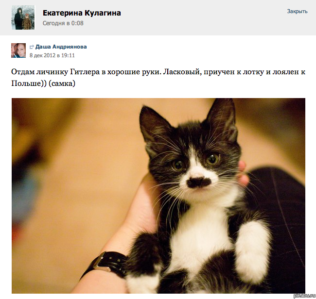 Лоялен к Польше